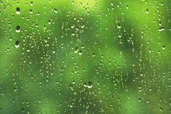 Raindrops on the glass looking out through the trees Urban and rural green foliage in cool, humid, fresh air. Grows and calms. Relaxing.