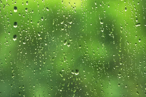 Raindrops Glass Looking Out Trees Urban Rural Green Foliage Cool Stock Photo