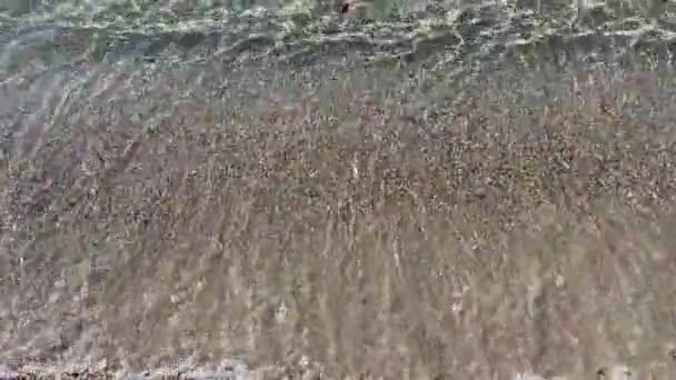 Παραλία κύματα, άμμος και βότσαλο βυθό κάτω από τα καθαρά νερά της θάλασσας. Παράκτια έννοια — Αρχείο Βίντεο