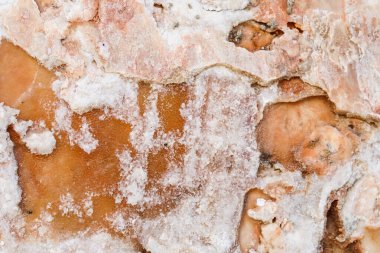 Arka plan ya da doku olarak doğal turuncu beyaz taş, tasarım için kusursuz.