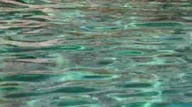 Güneş ışığındaki zümrüt deniz suyu arka planda parlar. Yaz tatili ve kıyı doğası kavramı