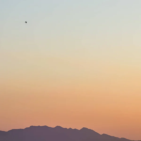 Background from a beautiful colorful sunset with the silhouette of the mountains and a flying bird — Stock Photo, Image