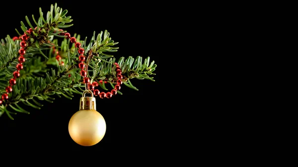 Yellow ball and red string of beads on a green branch of a Christmas tree isolated on a black background — Foto Stock