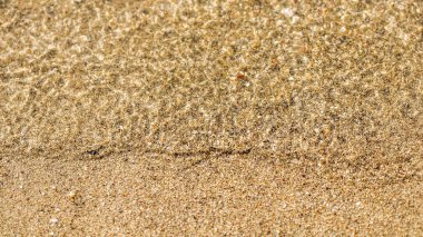 Deniz kumsalında dalgalı dalgalar. Yaz tatili geçmişi