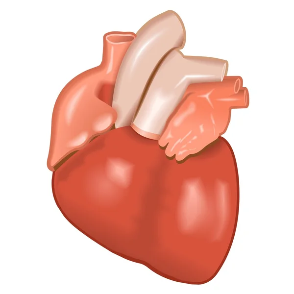 Corazón — Archivo Imágenes Vectoriales