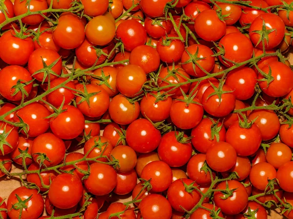 Red tomatoes — Stock Photo, Image