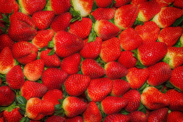 Fraise - cadre complet Photos De Stock Libres De Droits