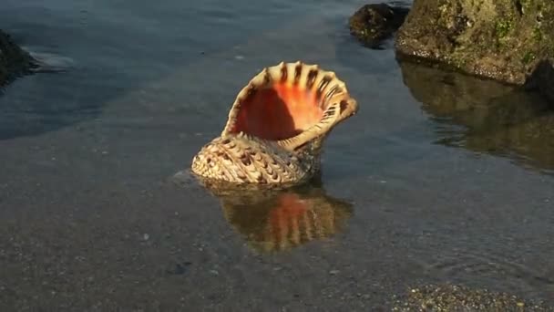 Schönes Waschbecken am Strand des Mittelmeeres — Stockvideo