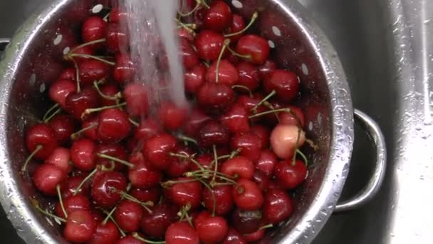 Свіжі червоні вишні на дерев'яному столі — стокове відео