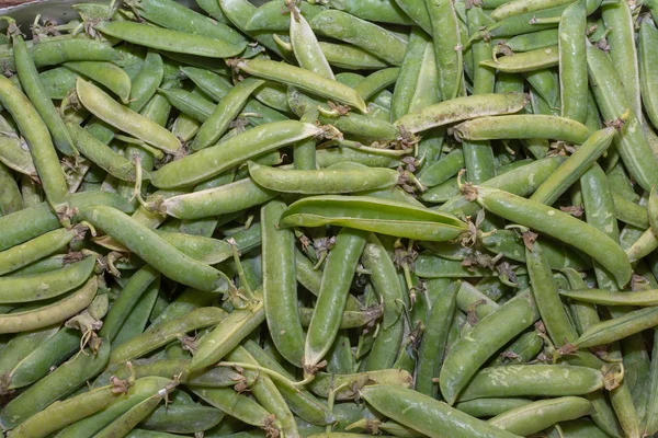 Vainas verdes con guisantes como nuevo cultivo de fondo —  Fotos de Stock