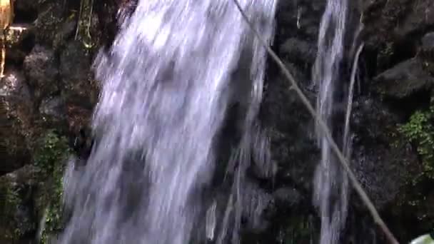 Autumn leaves in the mountains of Portugal — Stock Video