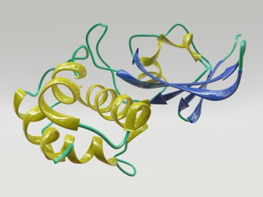 Peptide Molecule clipart