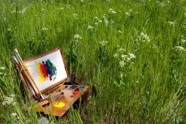 Cas du peintre sur herbe avec palette, outils artistiques et peinture abstraite — Photo