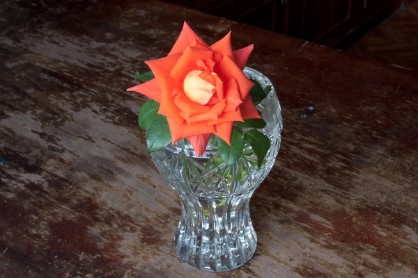 Karang dan oranye mawar dalam vas — Stok Foto
