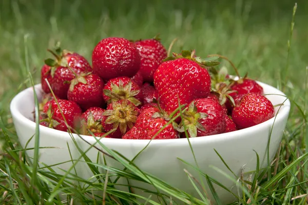 Bowl full of strawberries on a grass — Stock Photo, Image