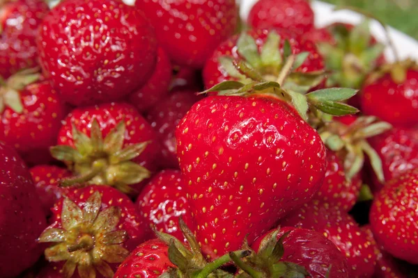 Nahaufnahme von Erdbeeren — Stockfoto