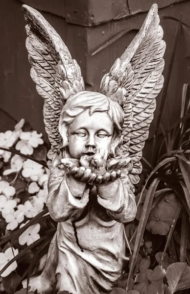 Černé a bílé kamenný anděl — Stock fotografie
