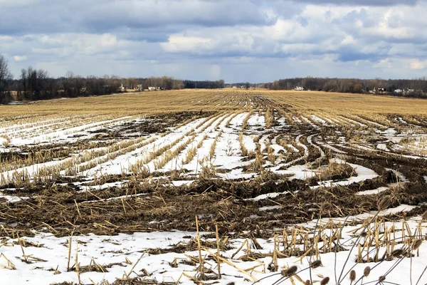 Заморожені фермерських земель — стокове фото