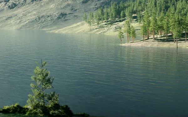 bir son derece photoreal açık orman Gölü render