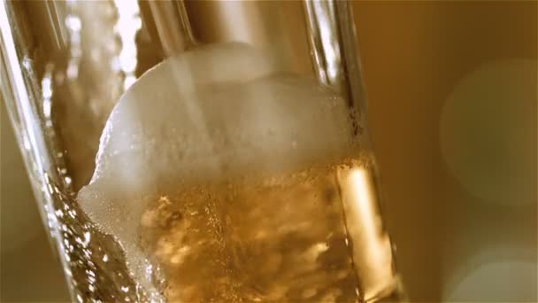 La bière coule dans le verre — Video