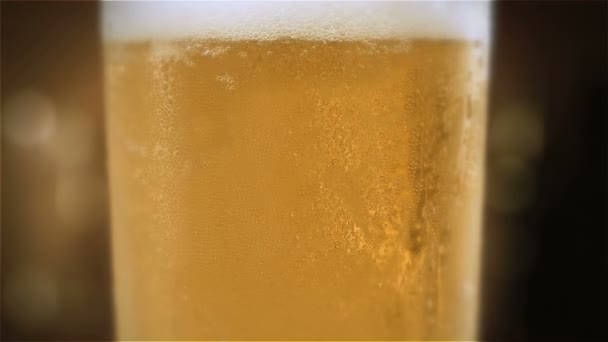 La birra sta versando nel bicchiere — Video Stock