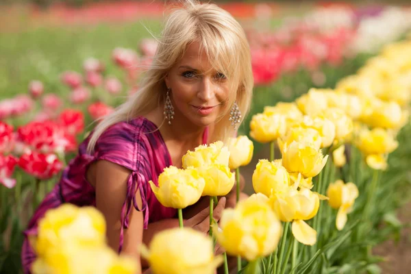 Jardim da tulipa — Fotografia de Stock