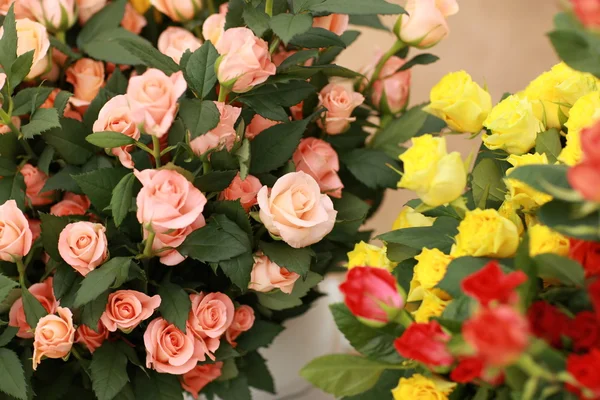 Boquet de rosas —  Fotos de Stock