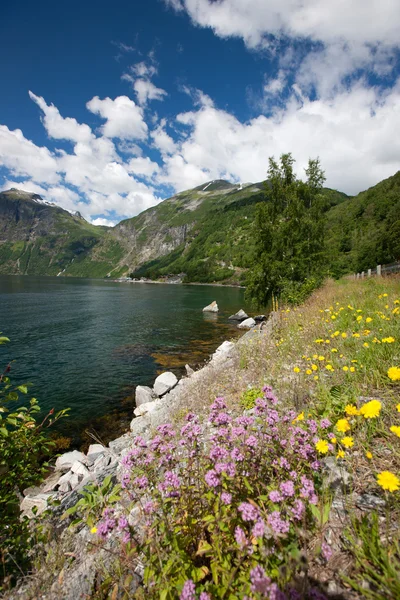 Fiord geiranger — Zdjęcie stockowe