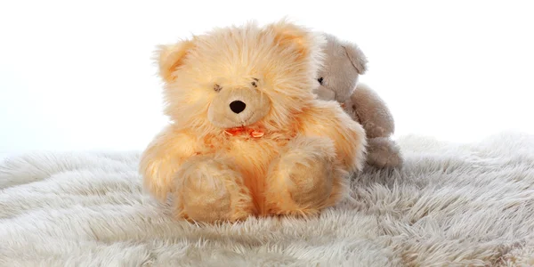 Urso de peluche Imagem De Stock