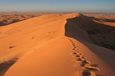 Footsteps in Erg Chebbi sand dunes clipart