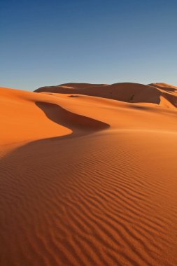 ERG African kum tepeleri
