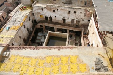 geleneksel deri Fas'ta boyama