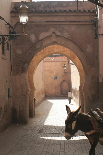 Doorway of Marakesh with donkey — Stock Photo, Image
