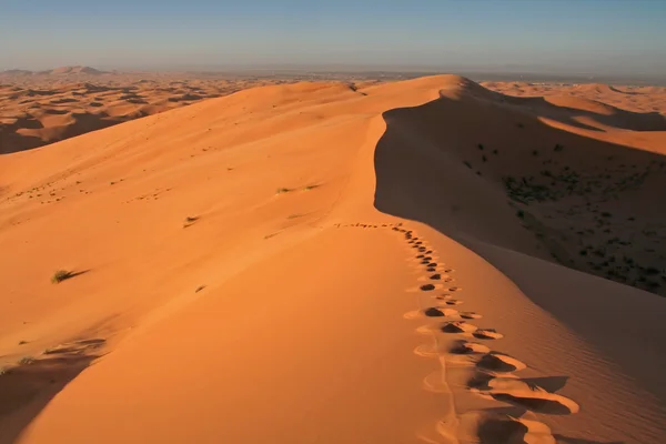 Ślady w erg chebbi wydmy — Zdjęcie stockowe