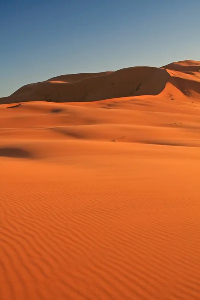 Dune di sabbia di Erg Chebbi — Foto Stock