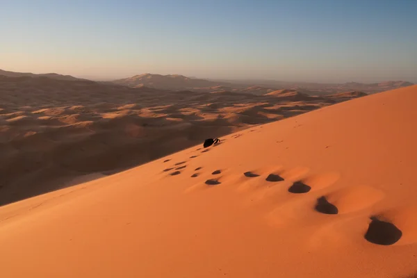 Ślady w erg chebbi wydmy — Zdjęcie stockowe