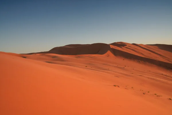 Erg Chebbi sand dunes — Stock Photo, Image