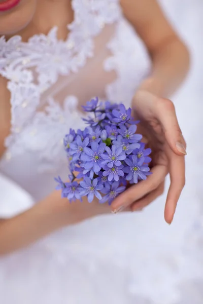 Anemones — Stock fotografie