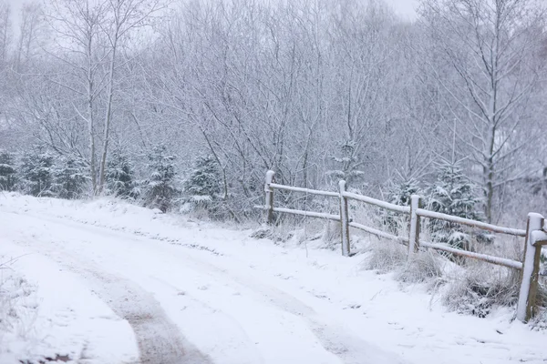 Straße durch den Winterwald — Stockfoto