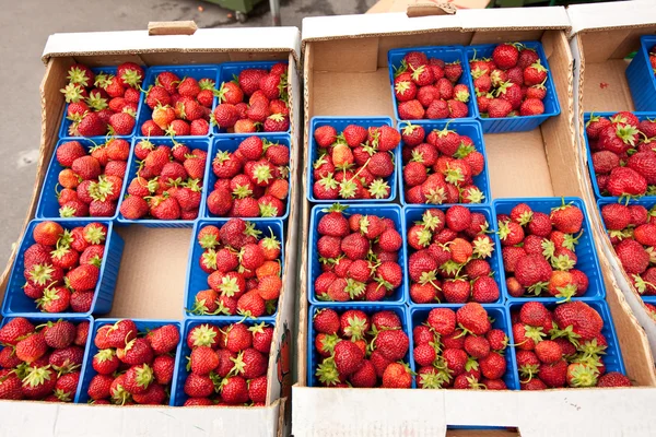 Erdbeeren Stockfoto