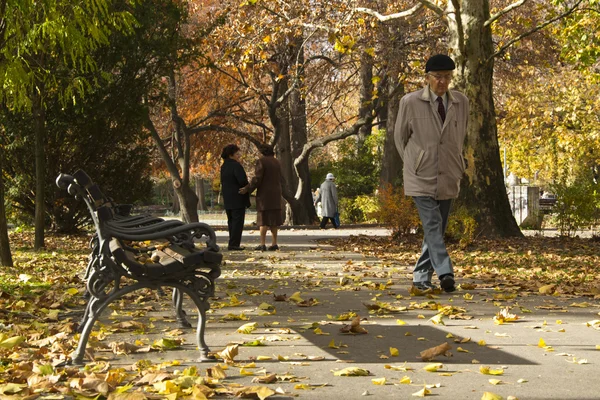 Old man walking in the park Stock Picture