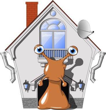 sıcacık evde salyangoz