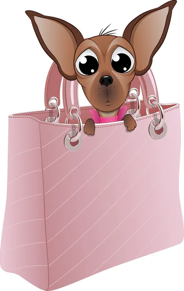 Σκυλί σε ένα λαμπερό τσάντα — Διανυσματικό Αρχείο