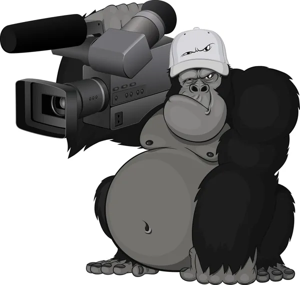 ลิงที่มีกล้อง — ภาพเวกเตอร์สต็อก