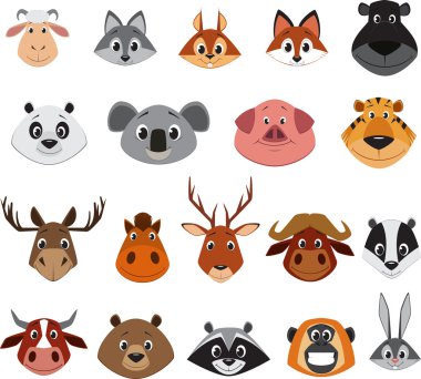 şirin renkli egzotik hayvan koleksiyonu