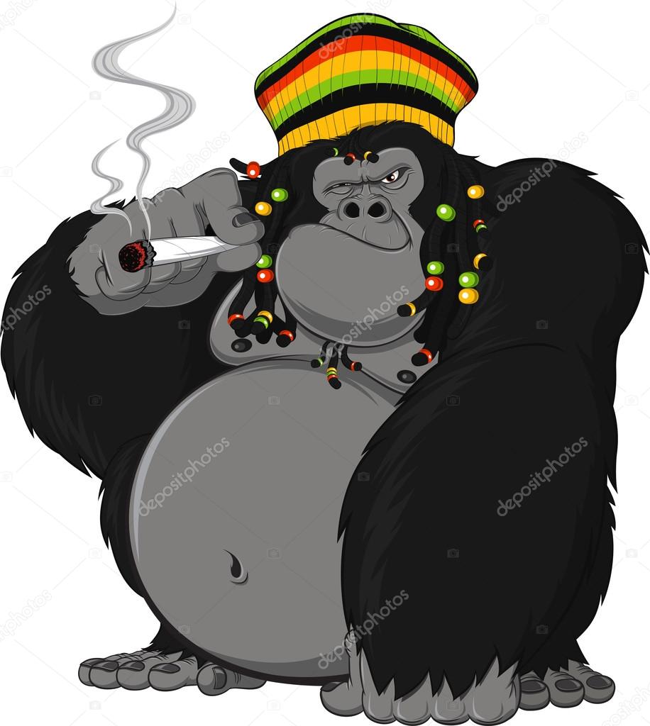 gorilla Rastafarian