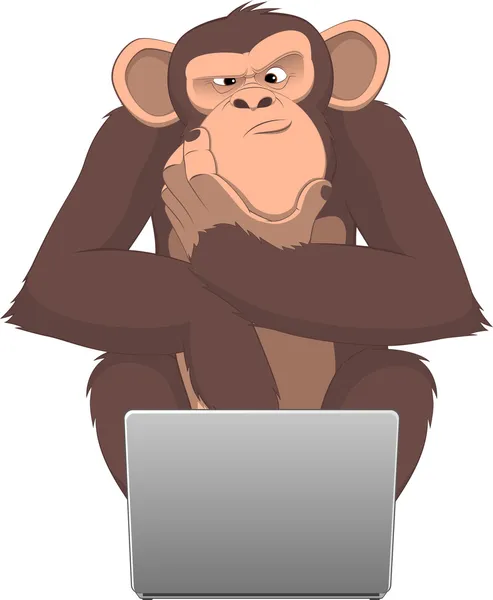 Monkey and computer — Stock Vector