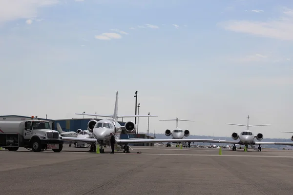 Jatos no Tarmac — Fotografia de Stock