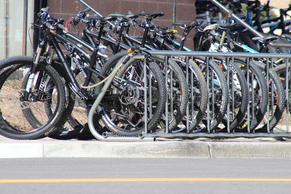 Fahrräder im Gepäckträger — Stockfoto