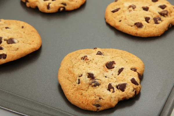 Chocolate Chip Cookies — Stock Photo, Image